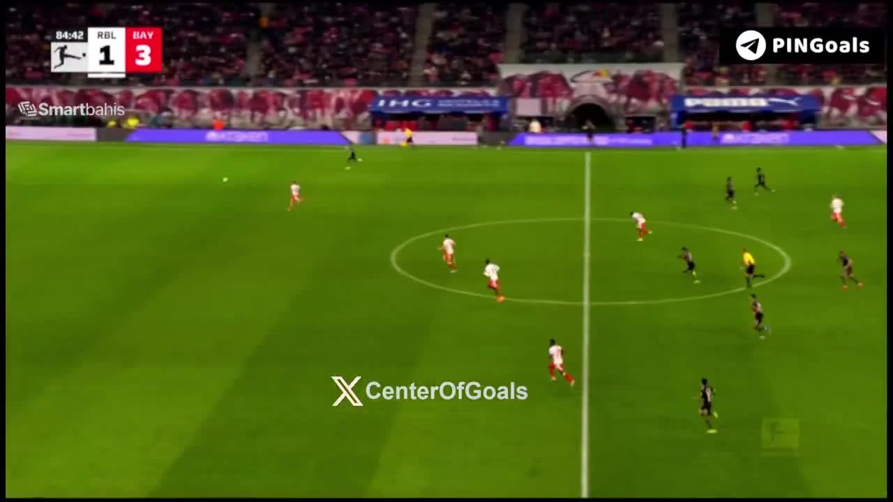 zaslepka skrotu video