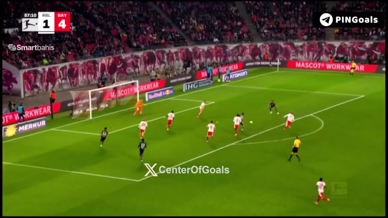 zaslepka skrotu video