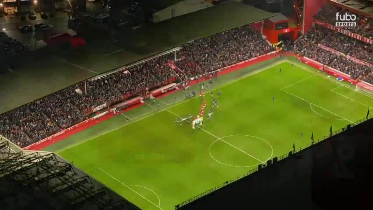 zaslepka skrotu video