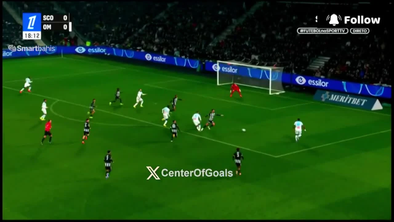 zaslepka skrotu video