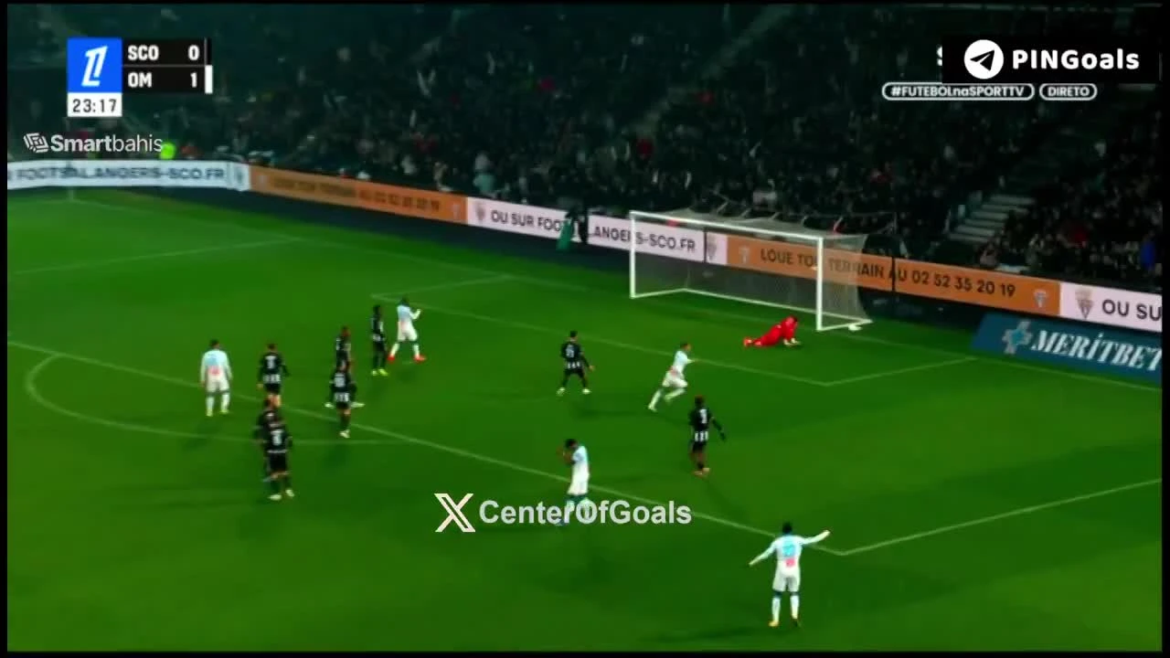 zaslepka skrotu video