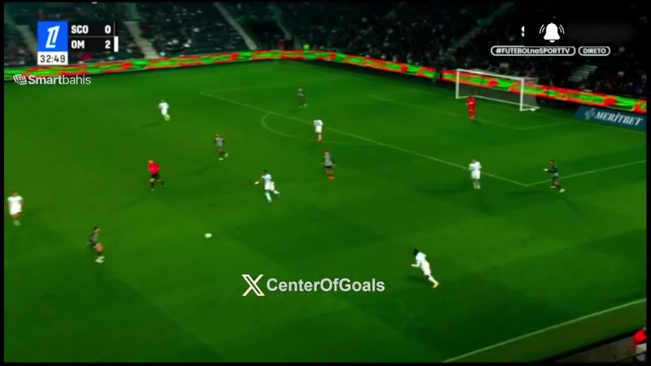 zaslepka skrotu video