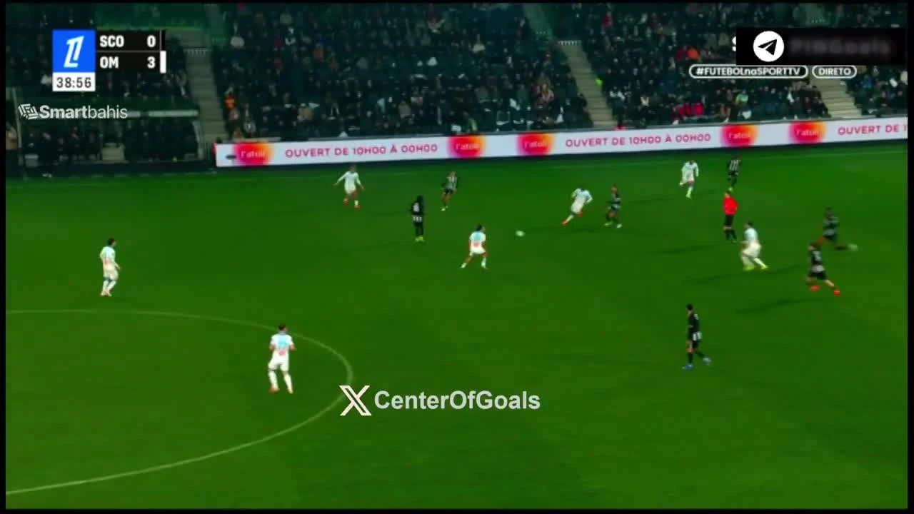 zaslepka skrotu video