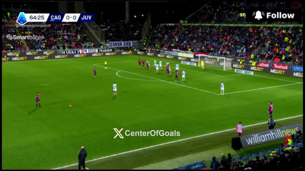 zaslepka skrotu video