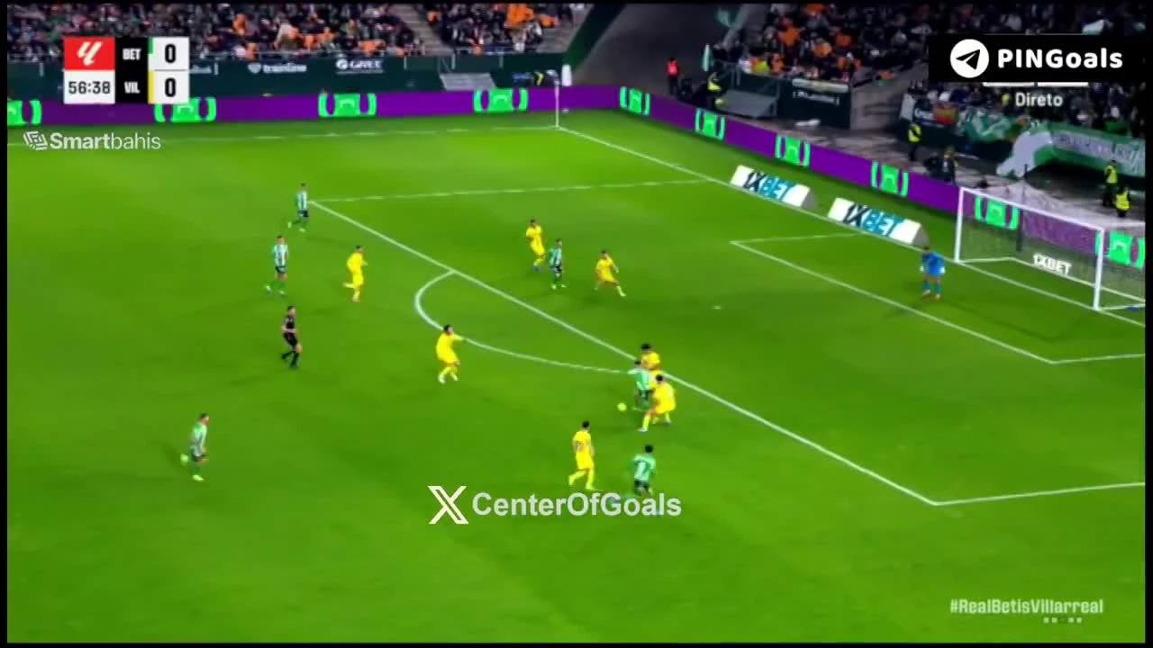 zaslepka skrotu video