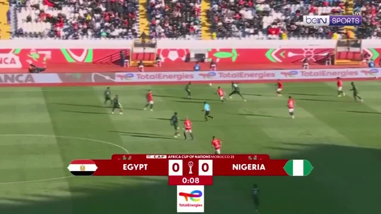 zaslepka skrotu video