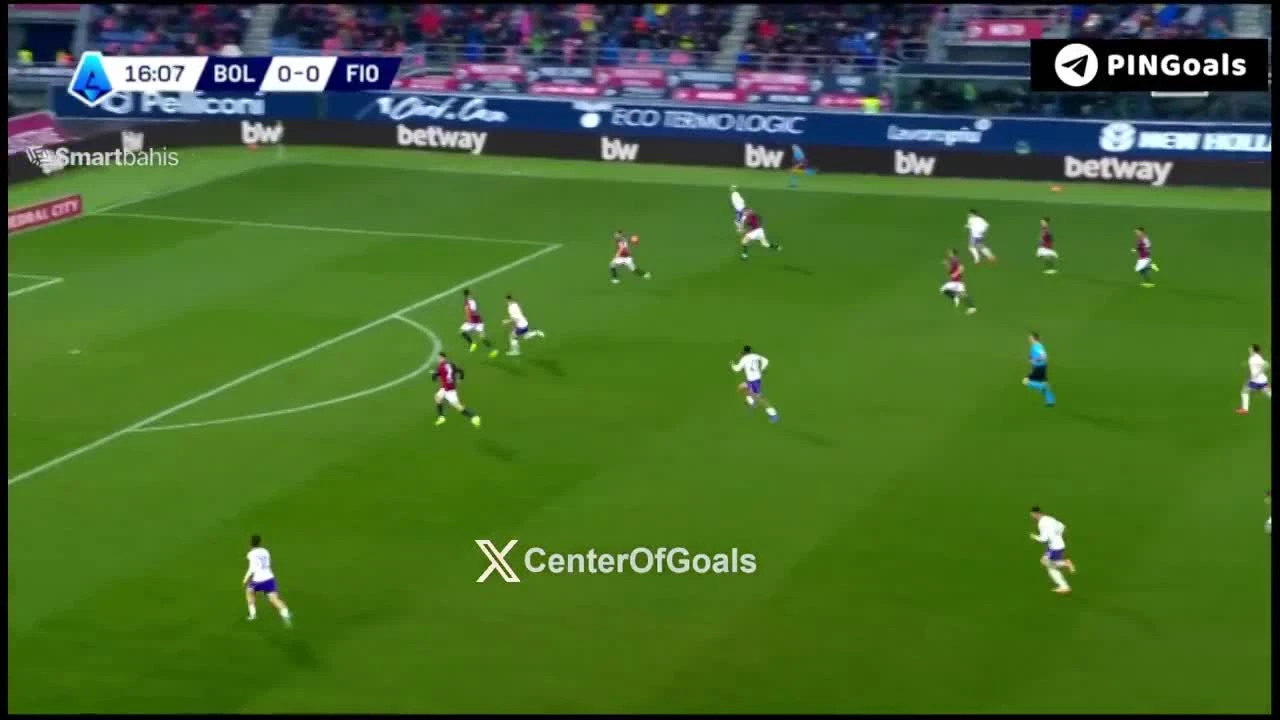 zaslepka skrotu video