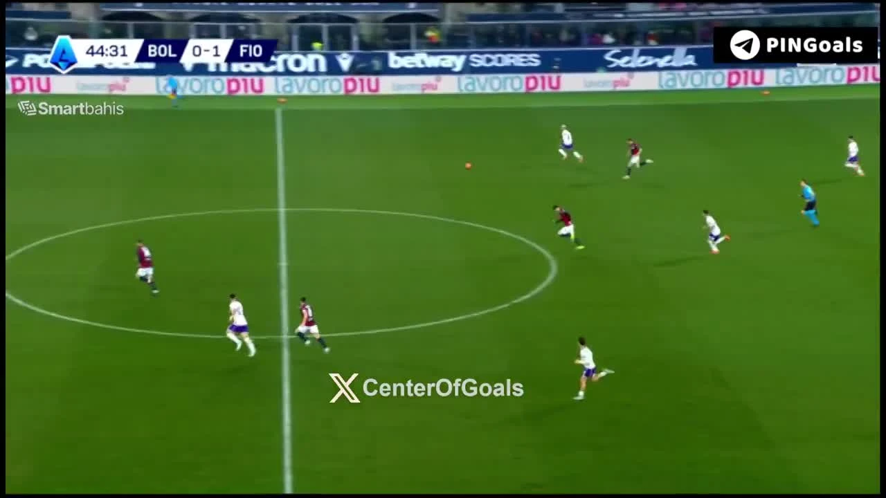 zaslepka skrotu video