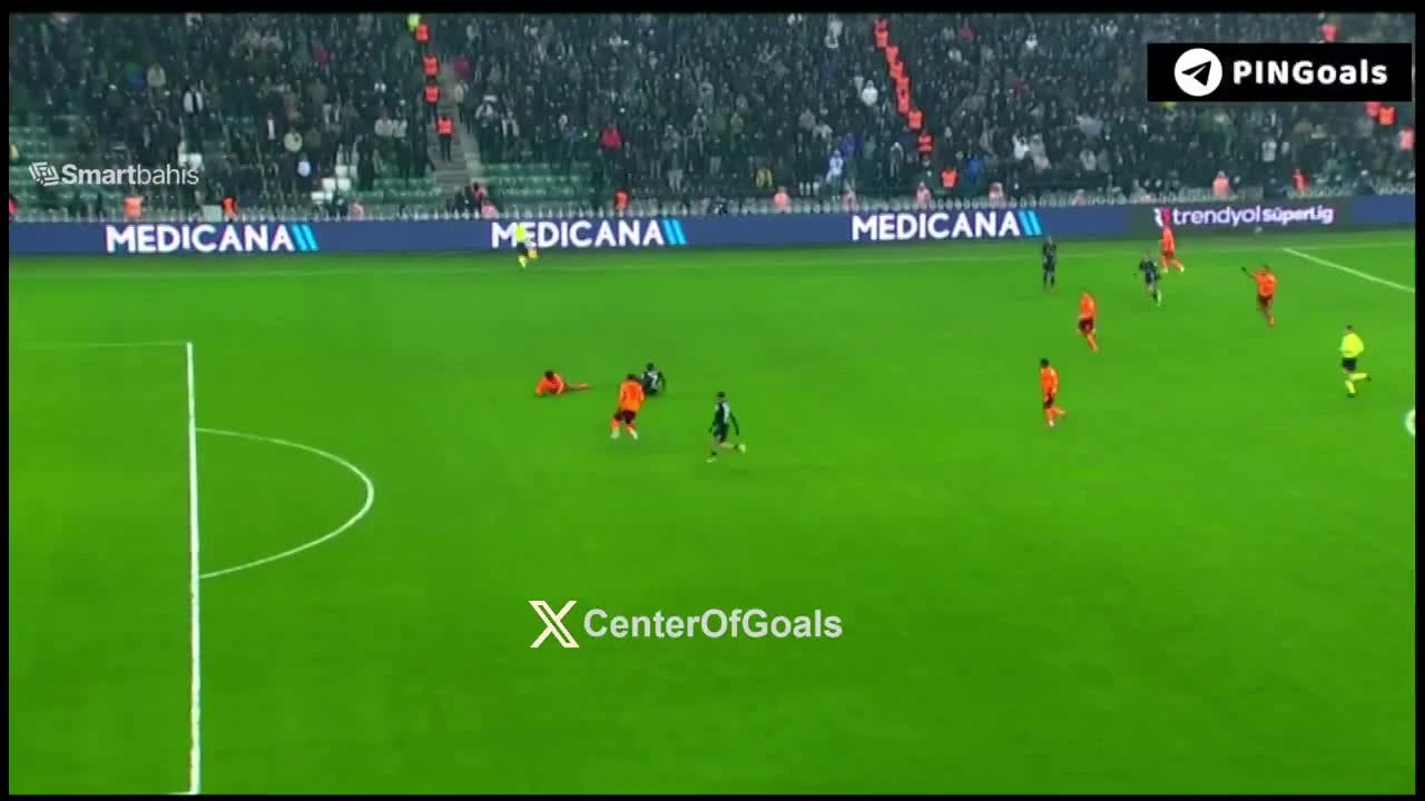 zaslepka skrotu video