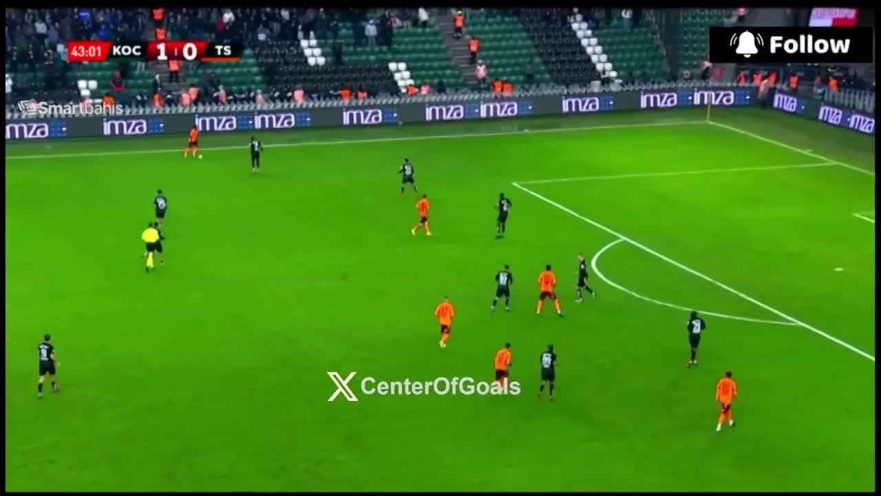 zaslepka skrotu video