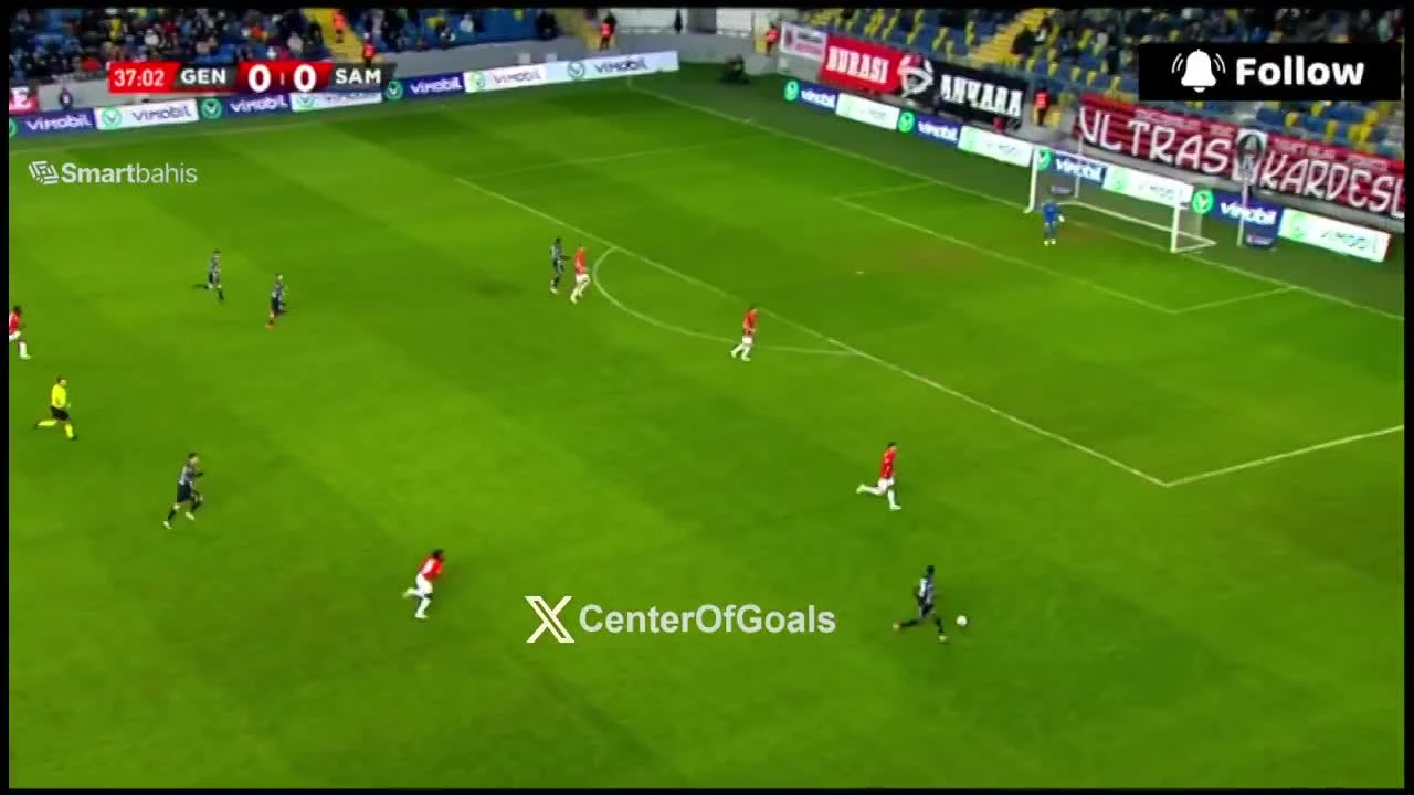 zaslepka skrotu video