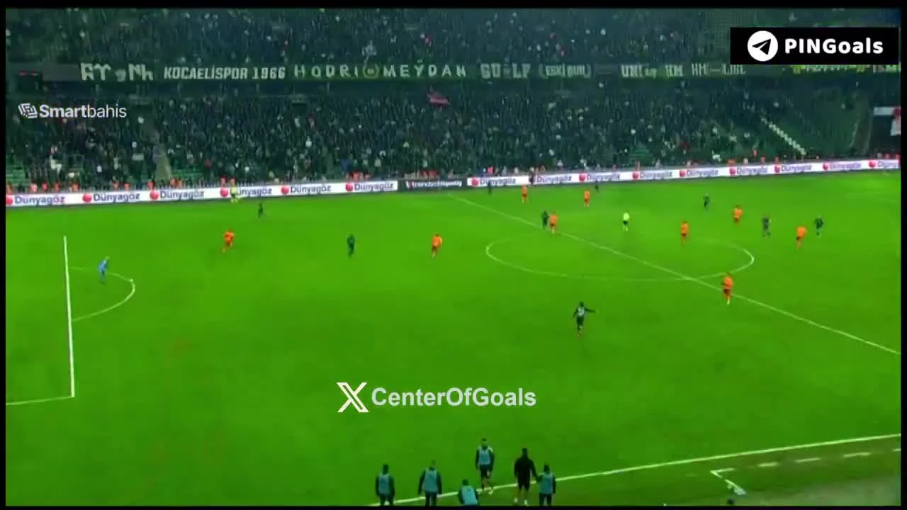 zaslepka skrotu video