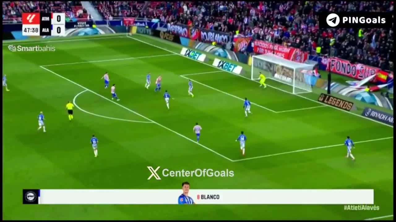 zaslepka skrotu video