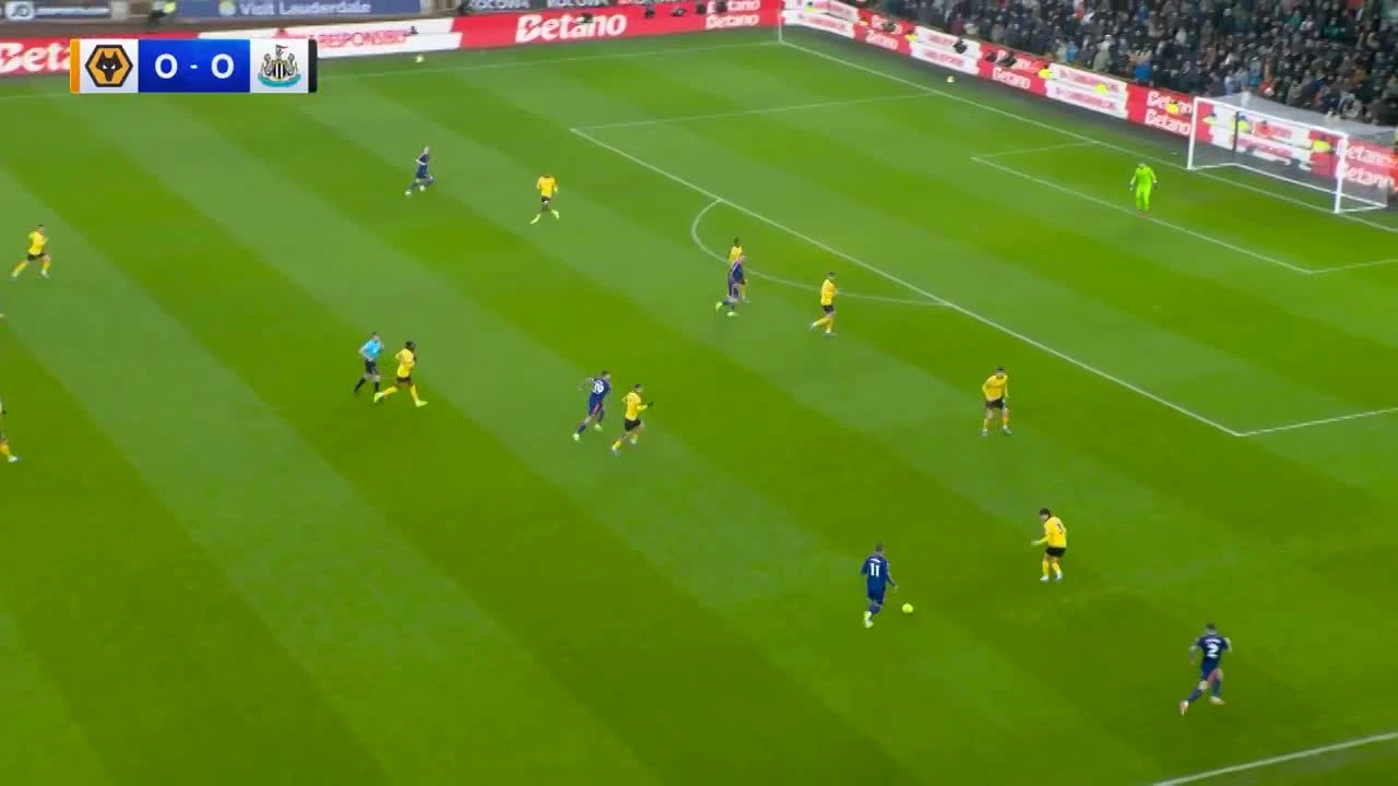 zaslepka skrotu video