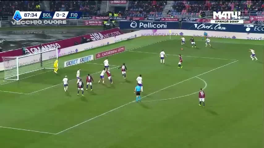 zaslepka skrotu video