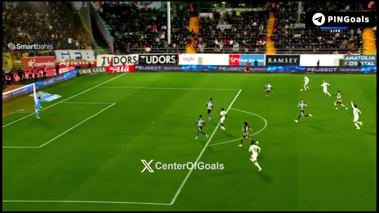 zaslepka skrotu video