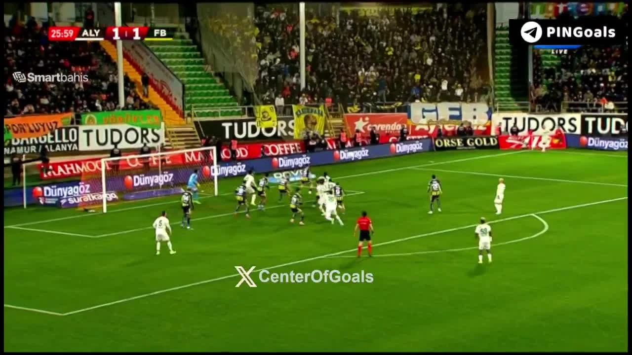 zaslepka skrotu video