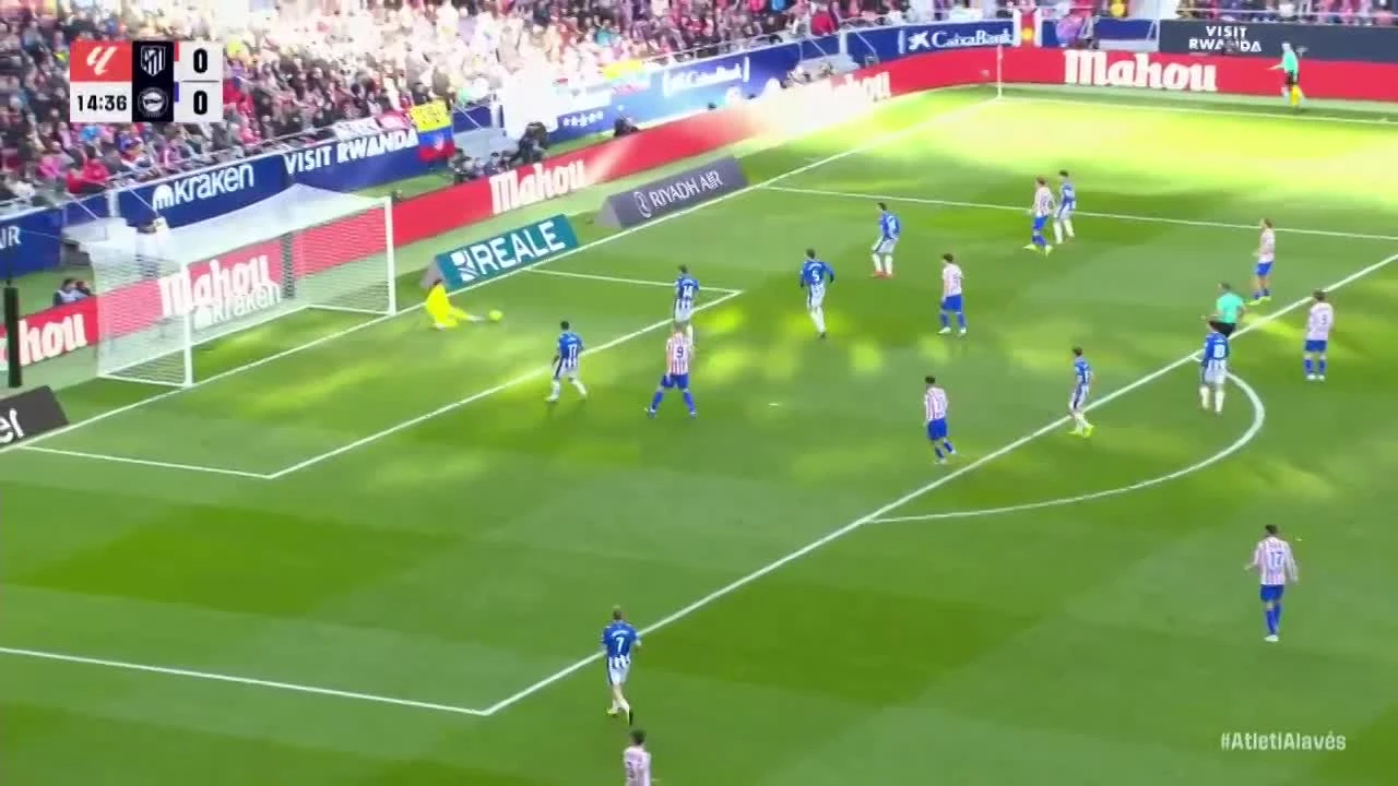 zaslepka skrotu video