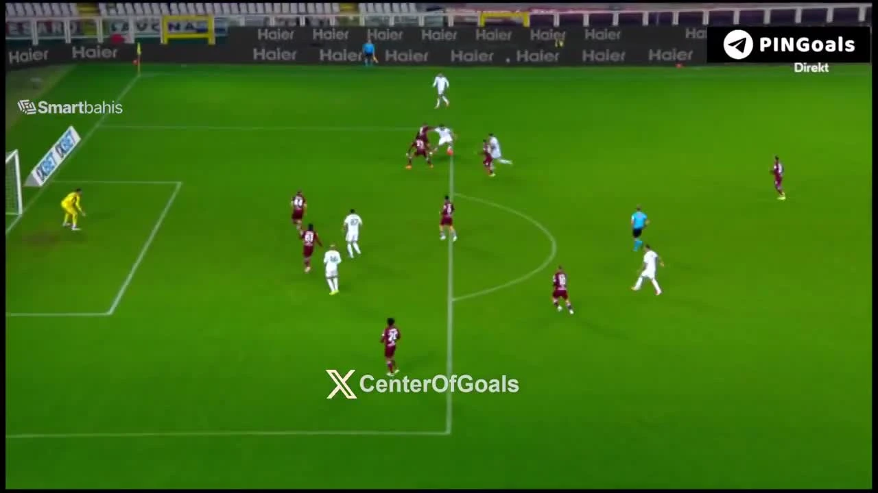 zaslepka skrotu video