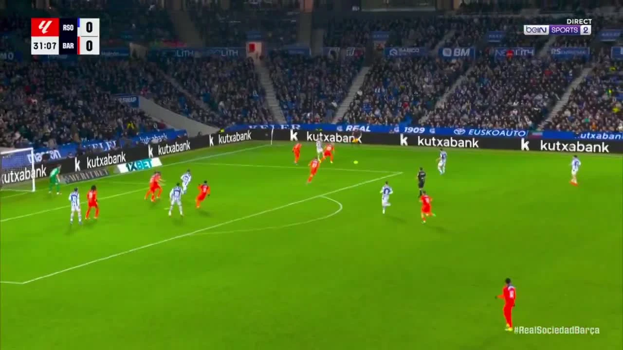 zaslepka skrotu video