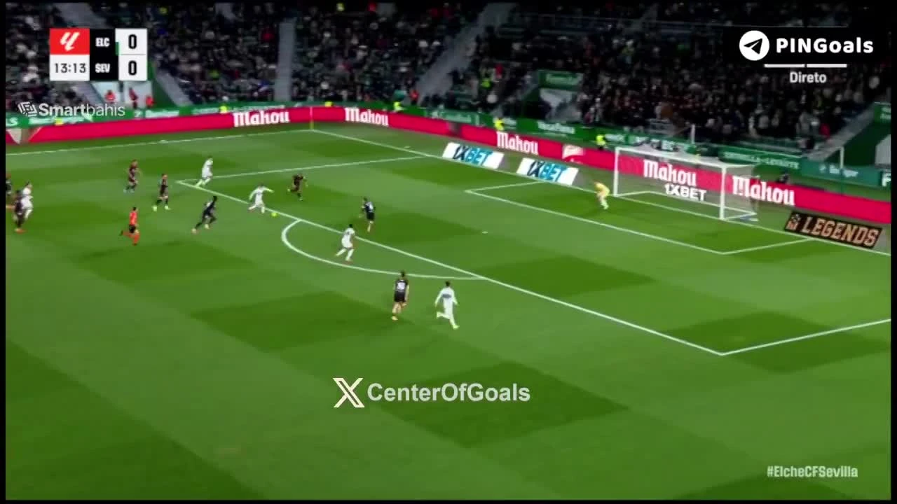 zaslepka skrotu video