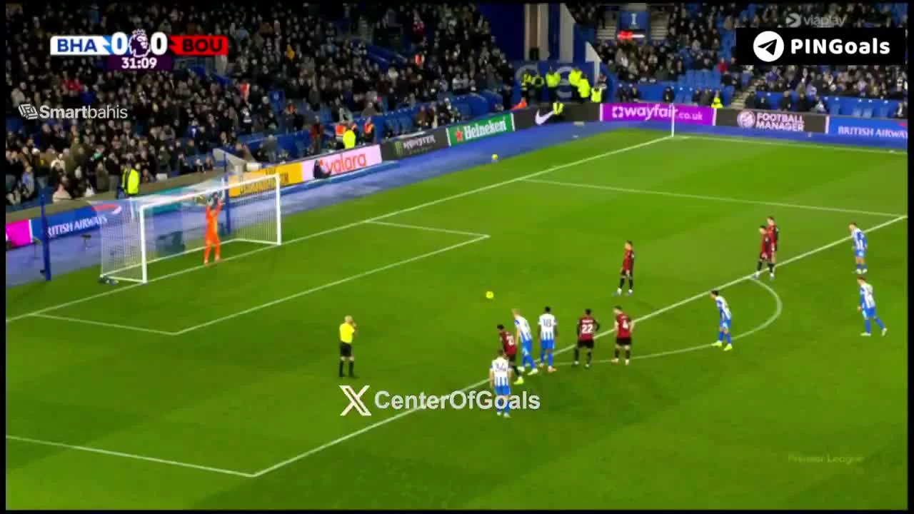 zaslepka skrotu video