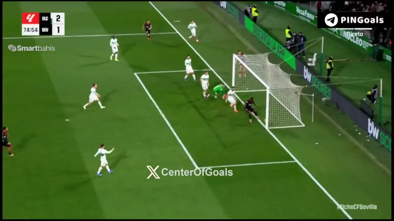 zaslepka skrotu video