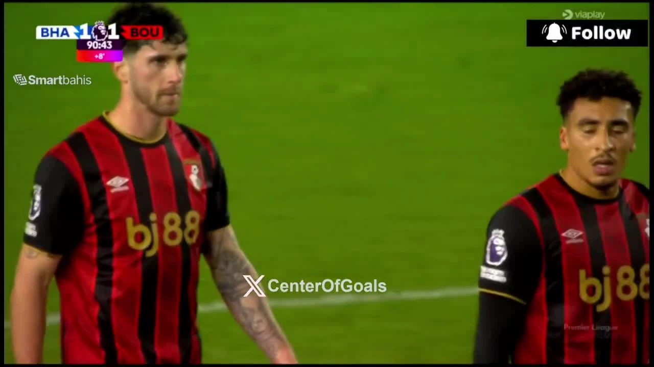 zaslepka skrotu video