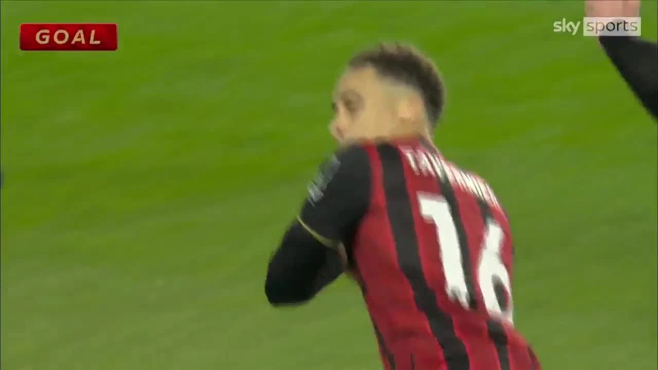 zaslepka skrotu video