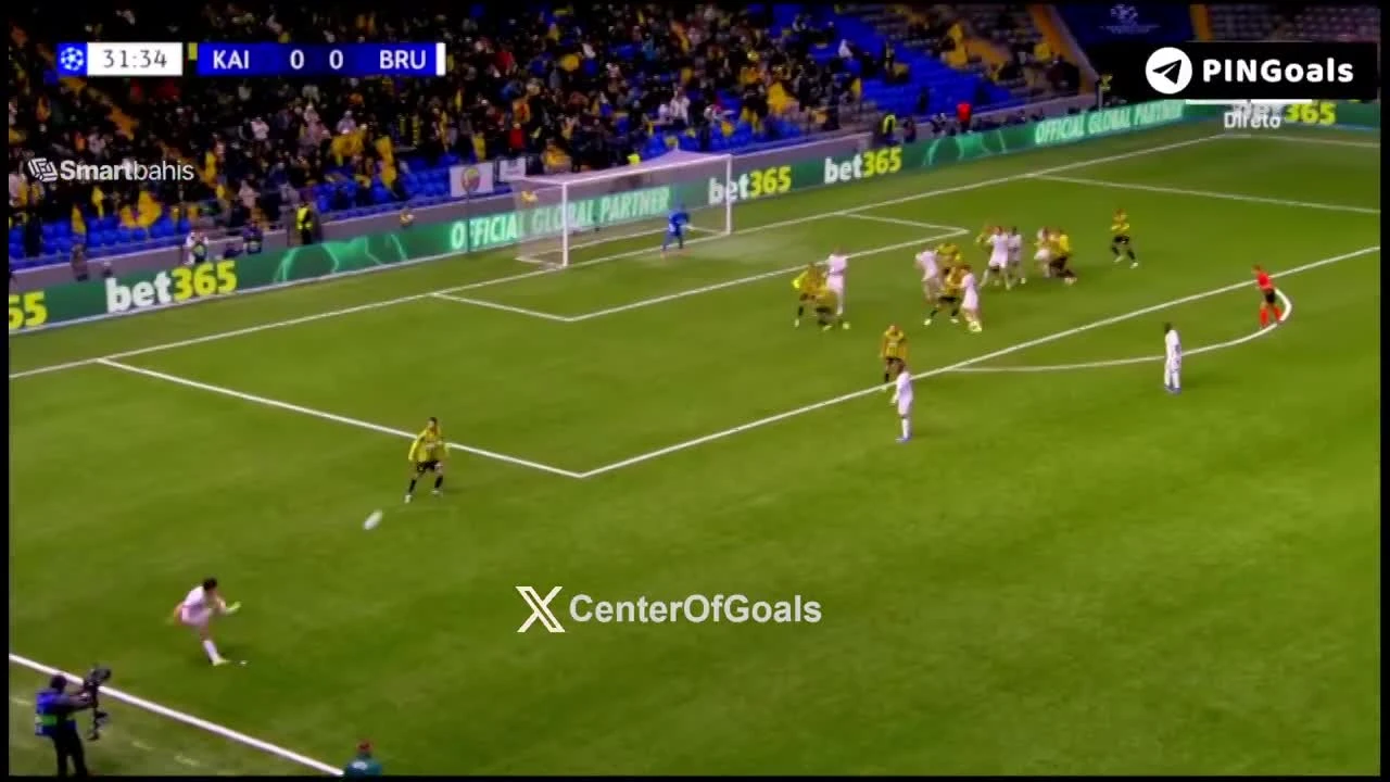 zaslepka skrotu video