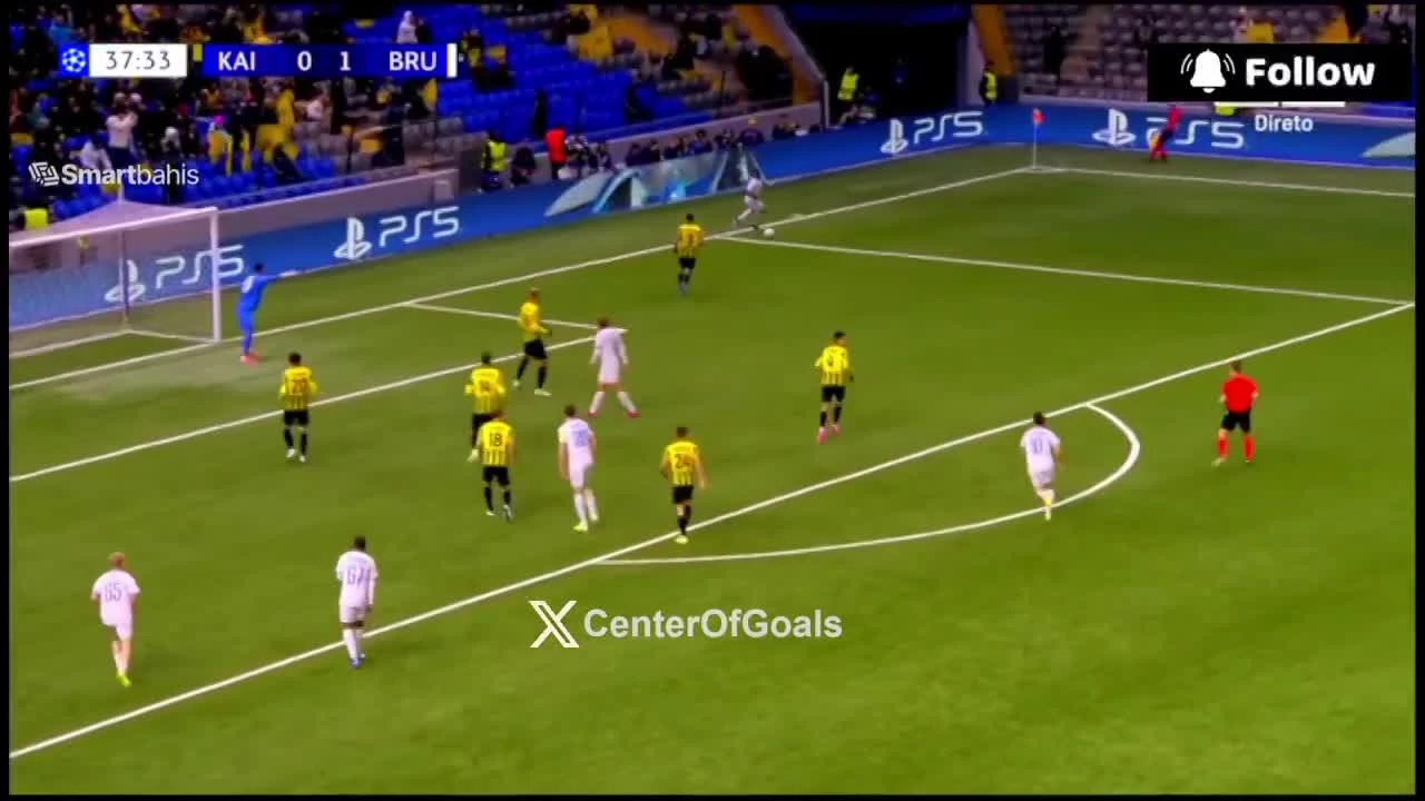 zaslepka skrotu video