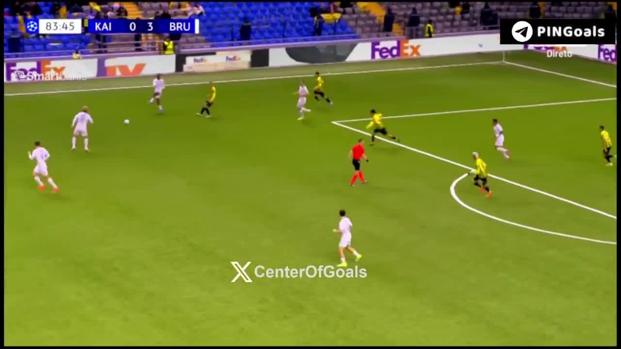 zaslepka skrotu video