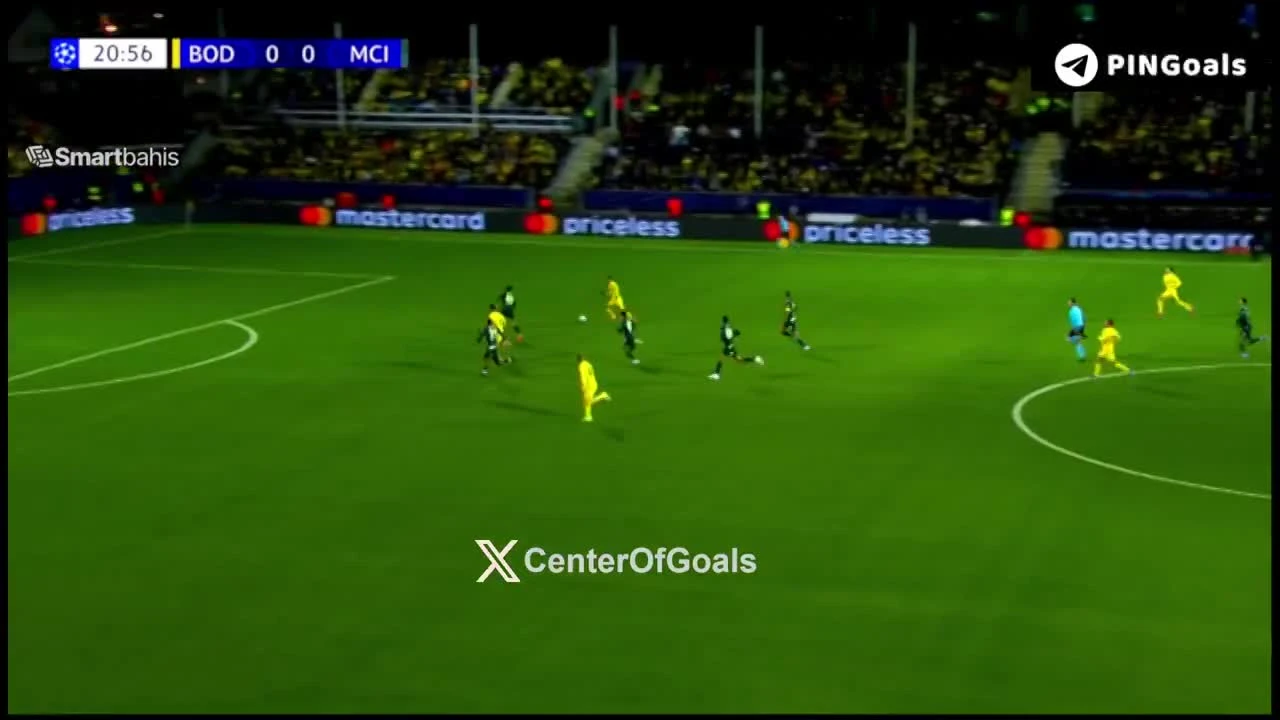 zaslepka skrotu video