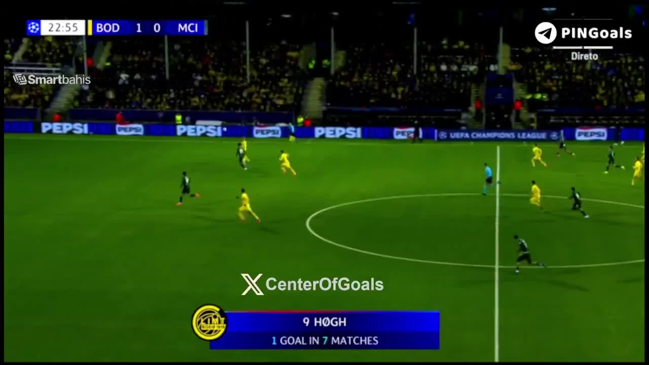 zaslepka skrotu video