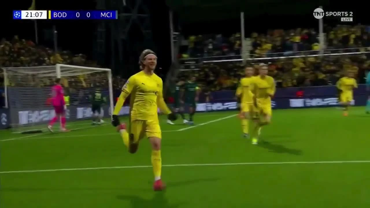 zaslepka skrotu video