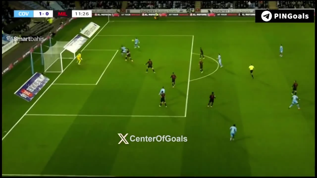 zaslepka skrotu video