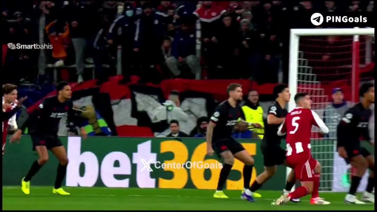 zaslepka skrotu video