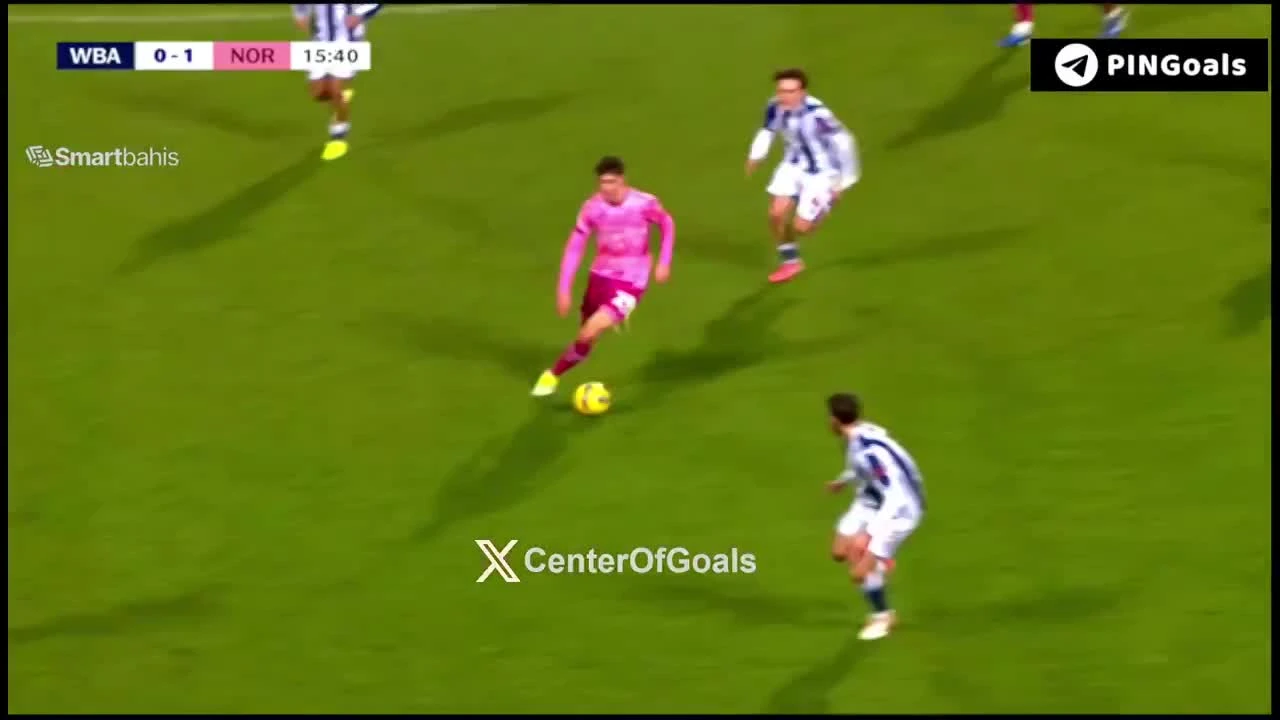 zaslepka skrotu video