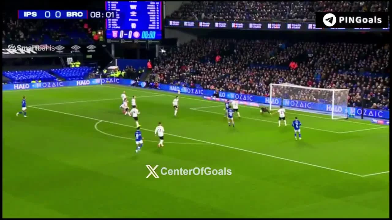 zaslepka skrotu video