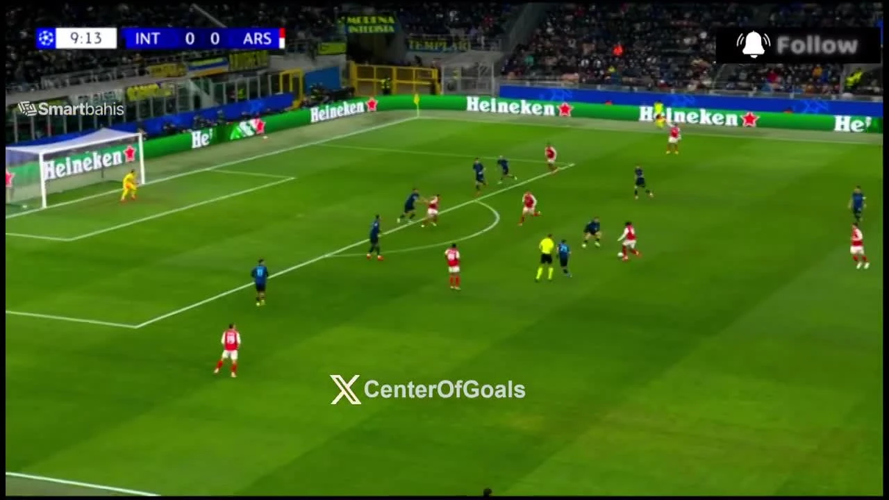 zaslepka skrotu video