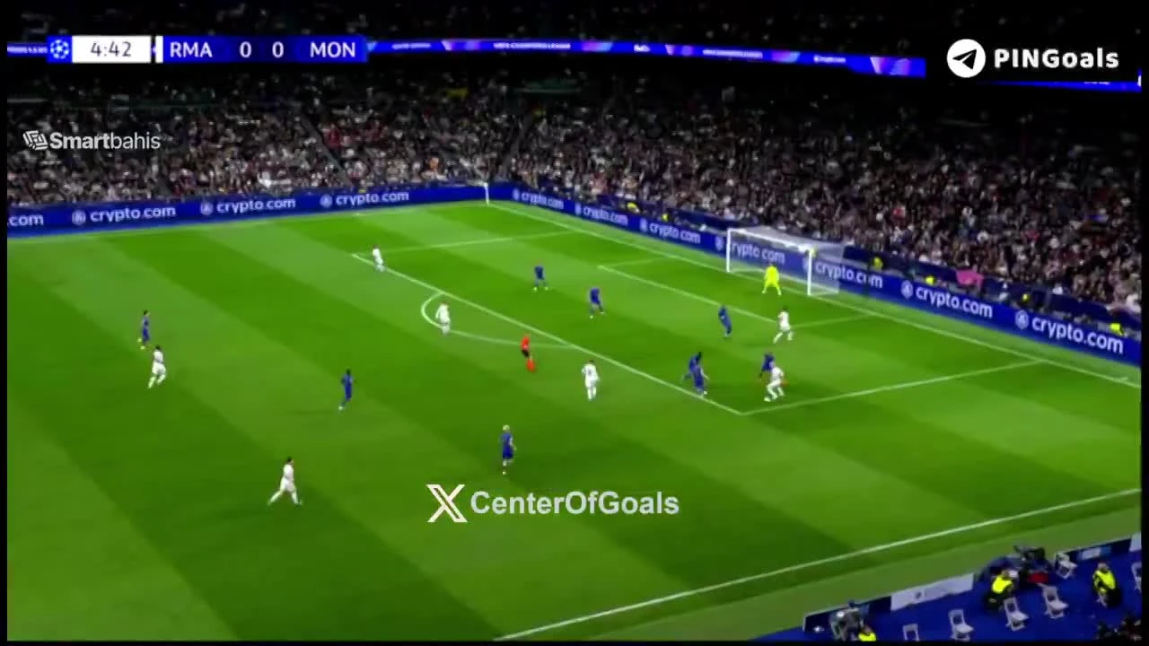 zaslepka skrotu video