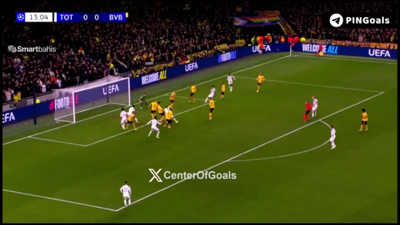 zaslepka skrotu video