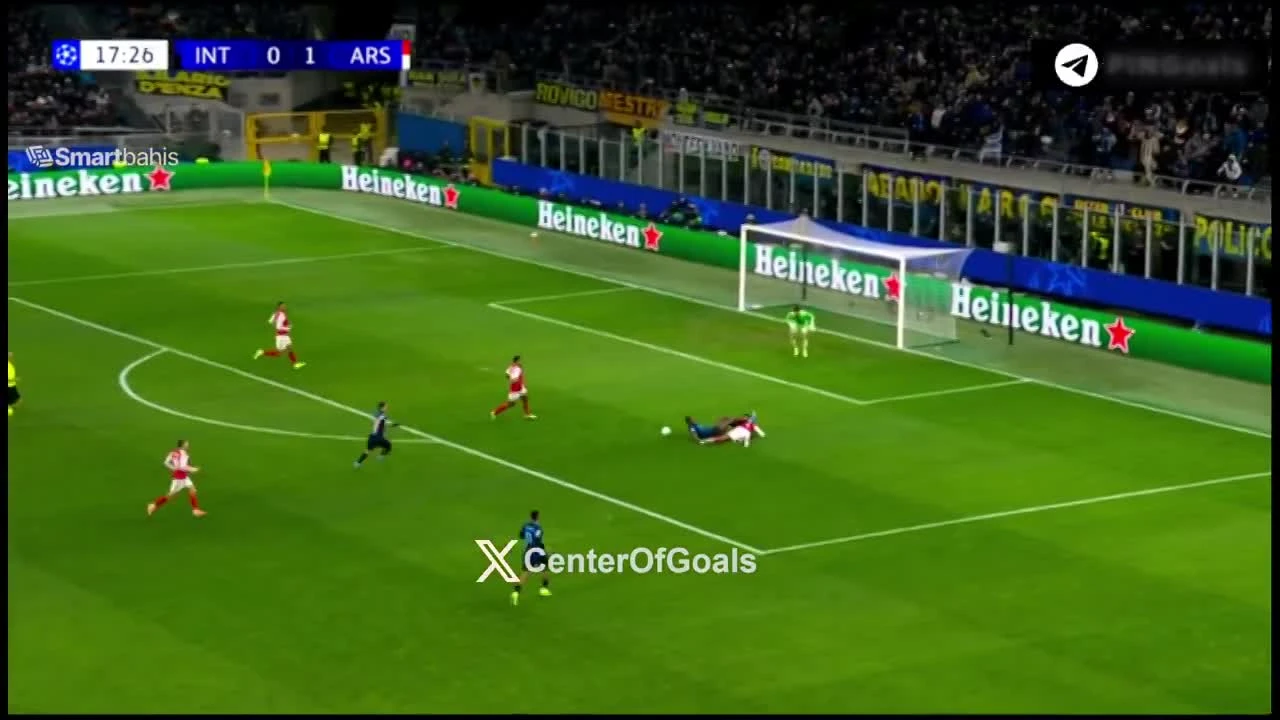 zaslepka skrotu video