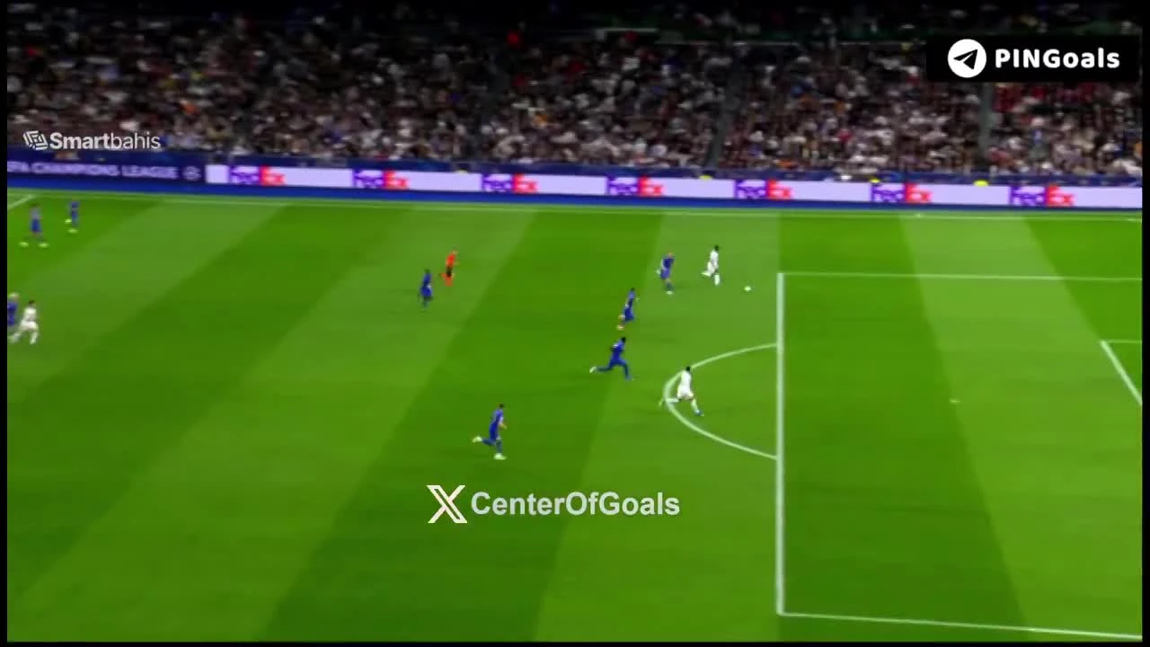 zaslepka skrotu video