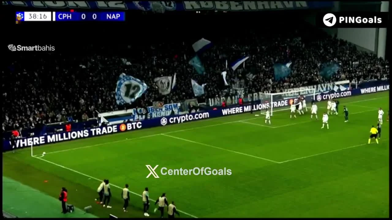 zaslepka skrotu video