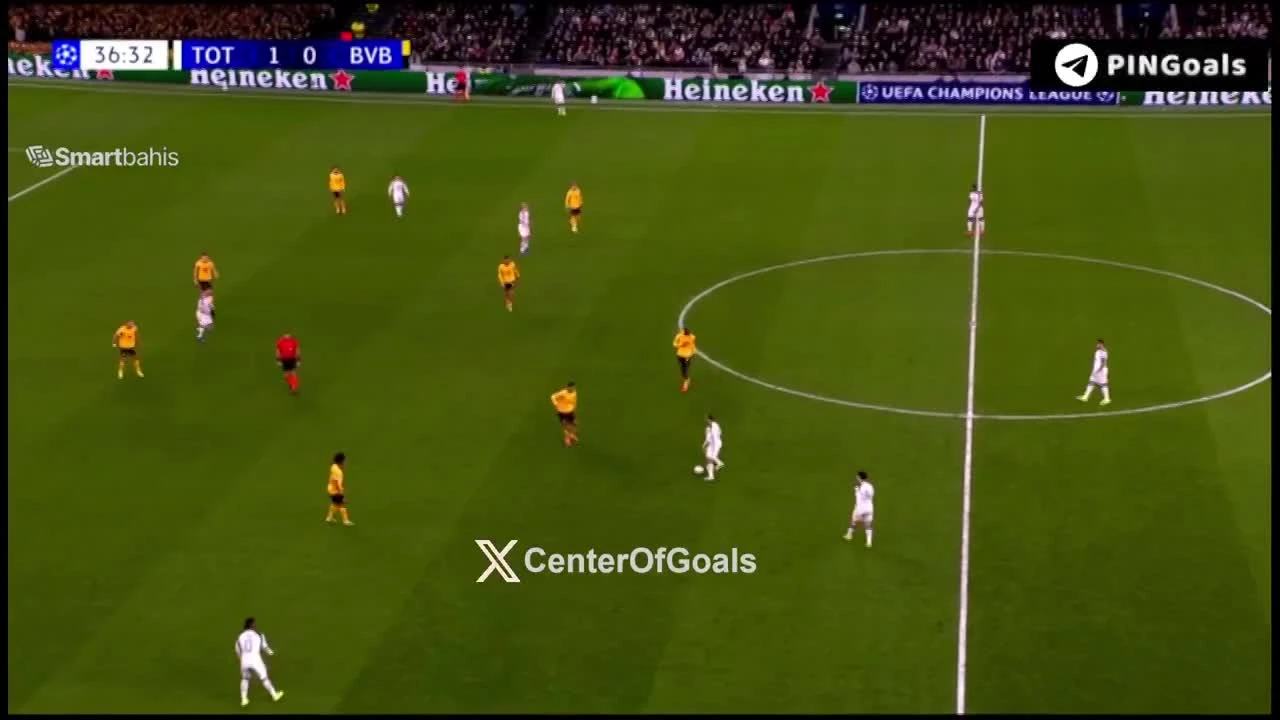 zaslepka skrotu video