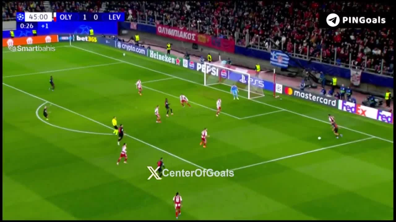 zaslepka skrotu video