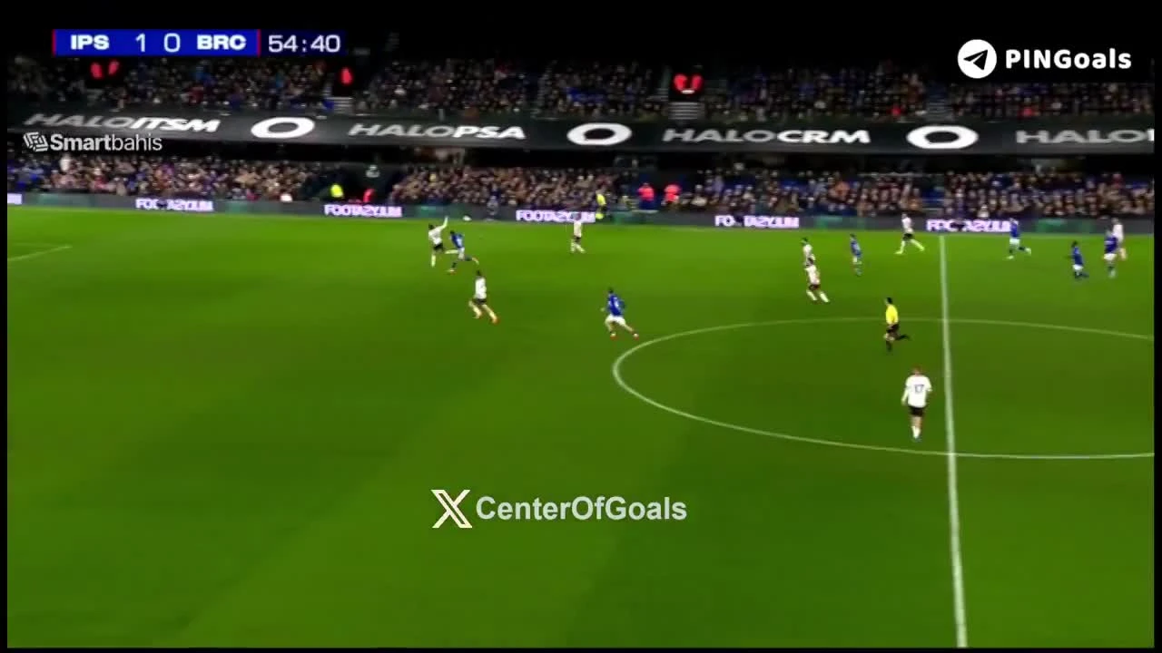 zaslepka skrotu video