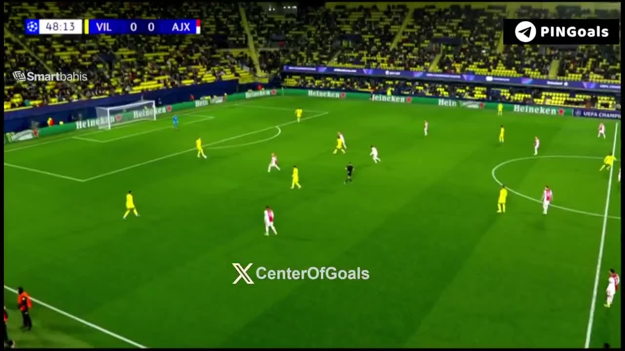 zaslepka skrotu video