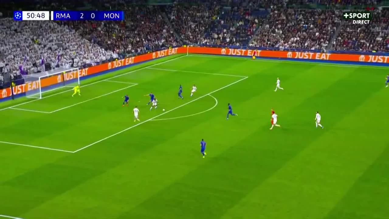 zaslepka skrotu video